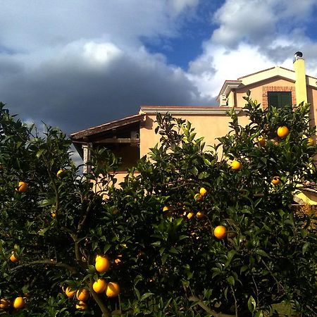 Su Canonigu Agriresort Tortolì Exteriér fotografie
